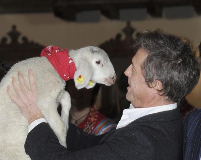 Fotografía disponible hoy, miércoles, 12 de noviembre de 2014, del actor británico Hugh Grant mientras sosteniene una oveja durante la inauguración del Mercado de Navidad, ayer, en la Finca Aiderbichl en Henndorf (Austria). EFE/barbara gindl