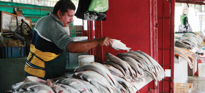 Se disparan los precios del pescado
