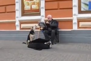 Conmovedor dúo musical entre un perro y su dueño (Video)