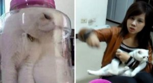 ¡Cruel!: Encierra a su gata en jarra de vidrio por mal comportamiento