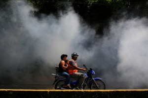 Infectóloga explicó por qué Venezuela no está preparada para una epidemia de dengue