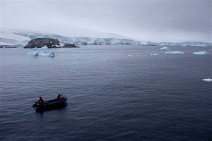 Científicos estudian organismos marinos para uso farmacológico en Antártida