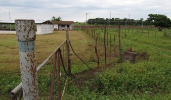 Delincuentes descuartizaron vacas en una finca de Perijá en Zulia