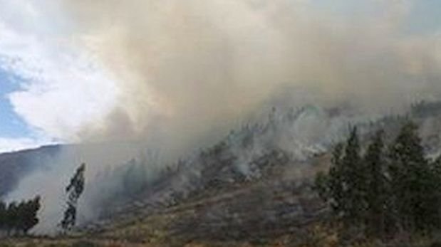 Extinguen incendio en selva peruana que dejó un muerto y quemó 200 hectáreas