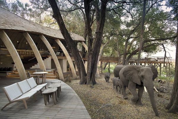 AndBeyond es una de las empresas especializadas en safaris privados en Kenya y Bostwana. (AndBeyond)