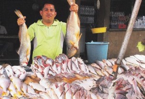 En Tucupita se requiere al menos un salario mínimo para comprar pescado