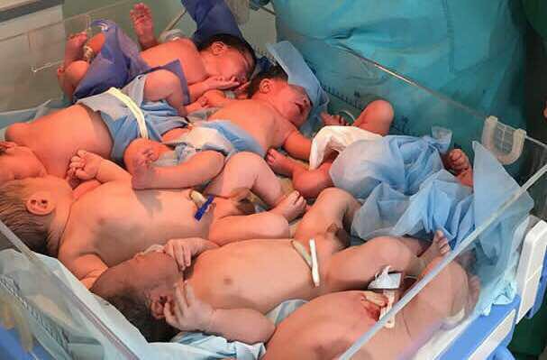 Siete recién nacidos en un incubadora / Foto: José Manuel Olivares