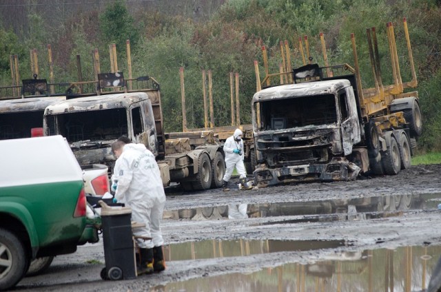 CH18. SAN JOSE DE LA MARIQUINA (CHILE), 28/08/2017.- Policías inspeccionan el lugar donde fueron quemados 29 camiones, hoy, lunes 28 de agosto de 2017, en San José de la Mariquina, al sur de Chile. El gobierno de Chile confirmó que un incendio que destruyó al menos 29 camiones en una localidad de la sureña región de Los Ríos fue provocado por un grupo de encapuchados que atentó contra la empresa dueña de los vehículos. EFE/Camilo Tapia