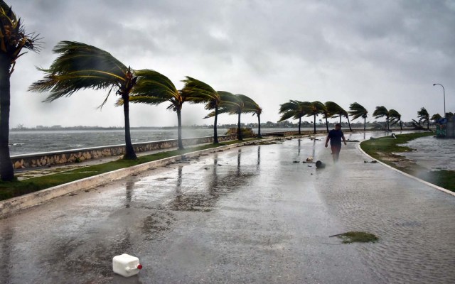 A man walks against heavy winds after the passage of Hurricane Irma, at Caibarien, Villa Clara province, 330km east of Havana, on September 9, 2017. Irma's blast through the Cuban coastline weakened the storm to a Category Three, but it is still packing 125 mile-an-hour winds (205 kilometer per hour) and was expected to regain power before hitting the Florida Keys early Sunday, US forecasters said. The Cuban government extended its maximum state of alert to three additional provinces, including Havana, amid fears of flooding in low-lying areas. / AFP PHOTO / ADALBERTO ROQUE