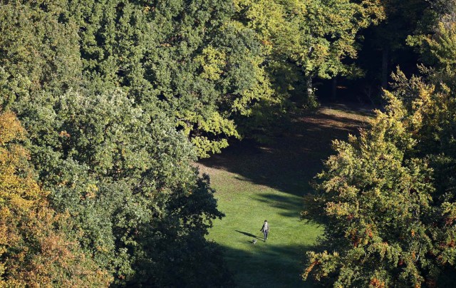 A woman with a dog walks through the Tiergarten park on a sunny autumn morning in Berlin, Germany, October 16, 2017. REUTERS/Fabrizio Bensch