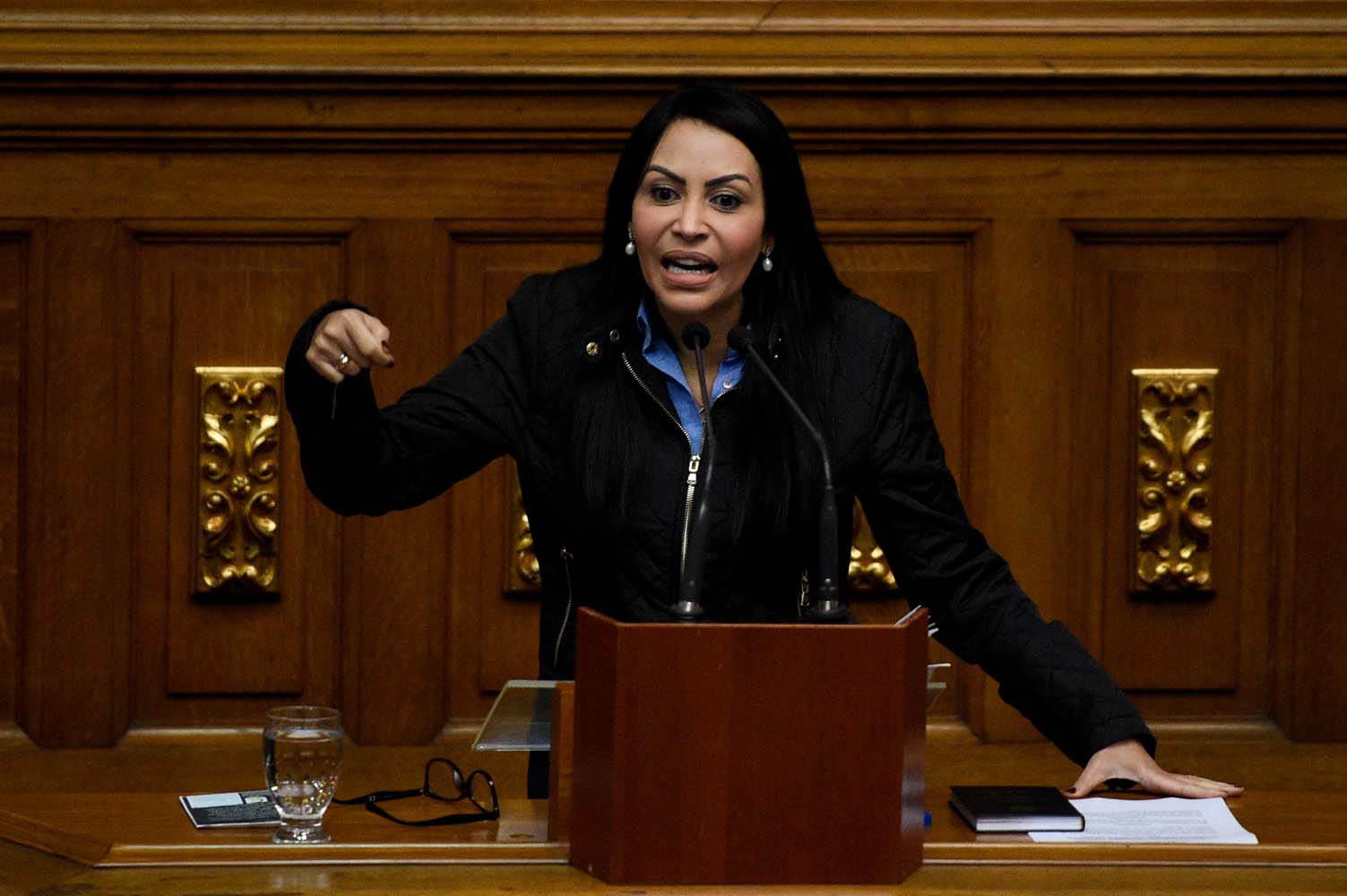 Delsa Solórzano es designada como vicepresidente del comité de DDHH de la Unión Interparlamentaria