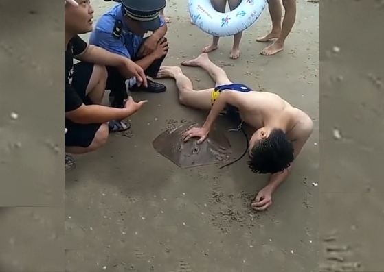 ¡Auch! Una mantarraya le agarró el miembro mientras se bañaba en la playa (video)