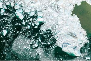 El deshielo del Ártico facilita la dispersión de nuevos patógenos