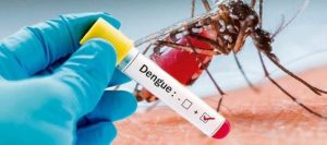 Confirman 14 casos de dengue en el condado de Miami-Dade