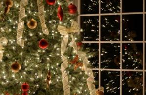 ¡SUSTO! Escuchó ruidos en su casa y esto fue lo que encontró en su árbol de Navidad (VIDEO)