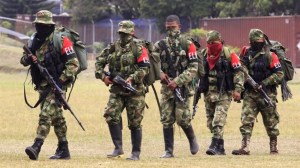 Otros siete guerrilleros del ELN se desmovilizaron en Colombia