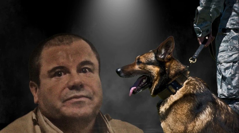 La verdad sobre “El Chapo” Guzmán y su miedo a los perros