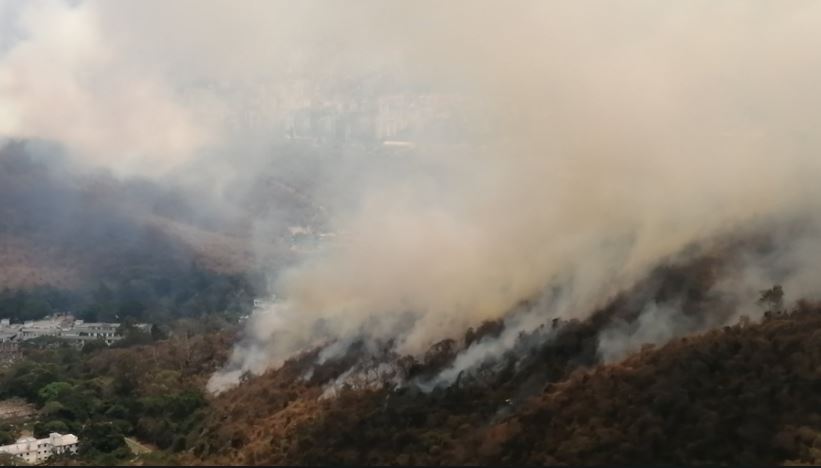 Fuerte incendio consume vegetación en zonas aledañas al Algodonal (Fotos y videos) #11Abr