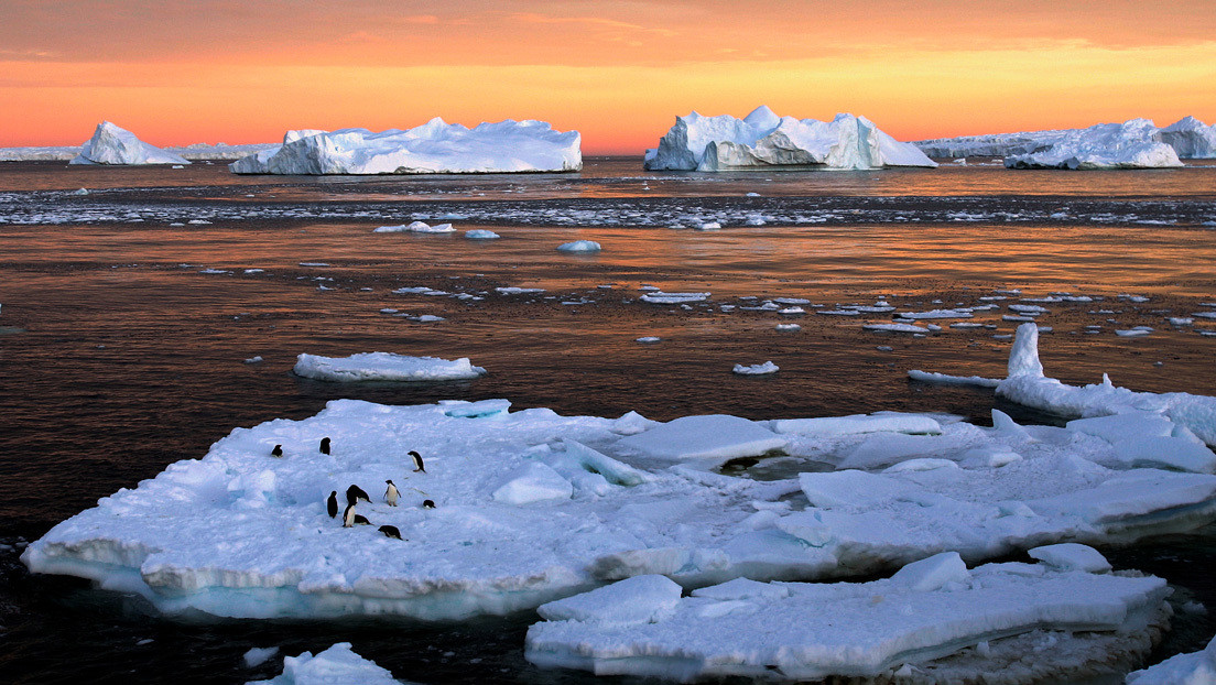 Científicos encontraron microplásticos en el hielo de la Antártida