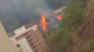 Reportan incendio forestal en montaña adyacente a Lomas del Ávila #6May (FOTOS)