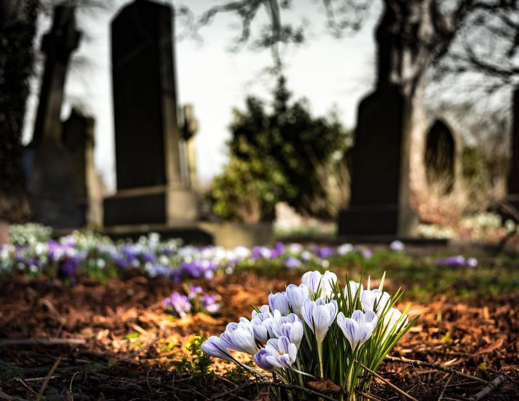 ¡Sin remordimientos! Golpeó y robó a anciano mientras visitaba tumba en cementerio de Nueva Jersey