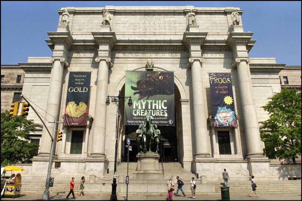 Museo de Historia Natural de Nueva York planea reabrir en septiembre
