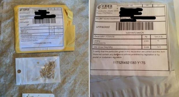 Lograron identificar algunas de las misteriosas semillas enviadas ilegalmente de China a EEUU