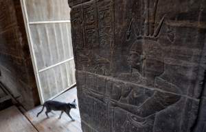 Antigua inscripción en jeroglíficos recuerda al Egipto moderno los riesgos de una sequía (FOTOS)