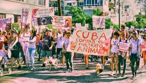 Bienestar animal, primera victoria de la sociedad civil en Cuba