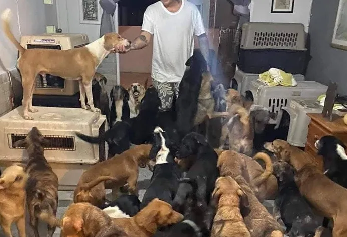 ¡Héroe sin capa! Resguardó en su casa a unos 300 animales por el paso del huracán Delta (Fotos)