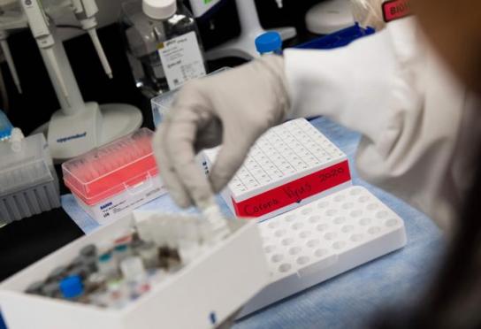 Novavax inicia en EEUU la fase 3 de los ensayos para su vacuna contra el Covid-19