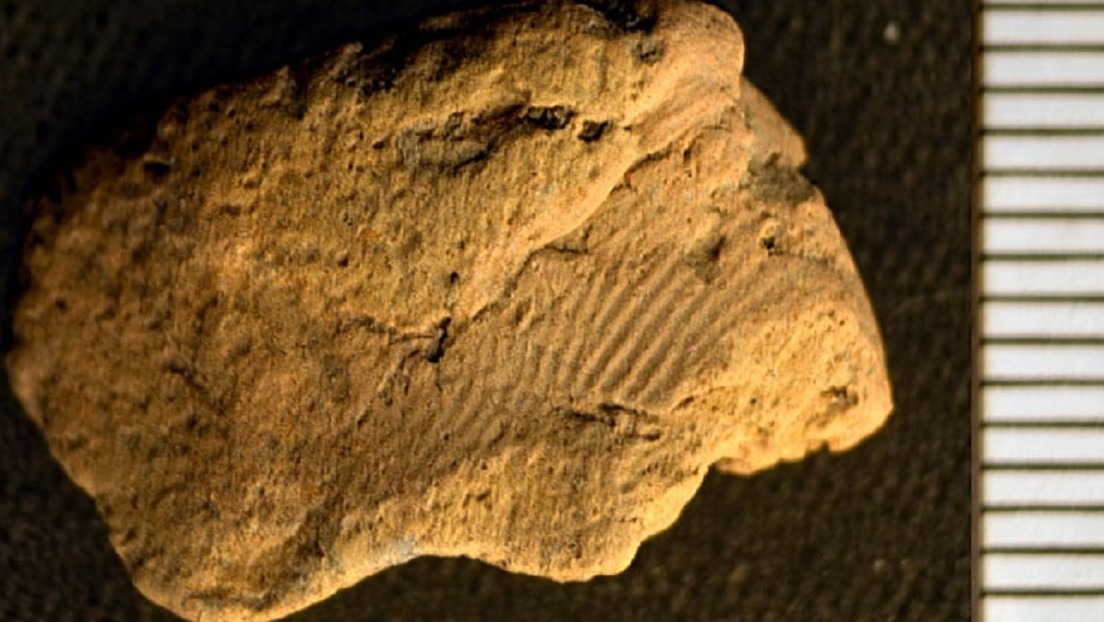 Descubren una huella dactilar impresa en un trozo de cerámica neolítica de 5.000 años