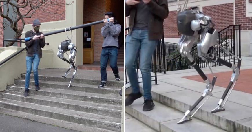 VIDEO: Robot “ciego” diseñado en EEUU aprende a subir escaleras