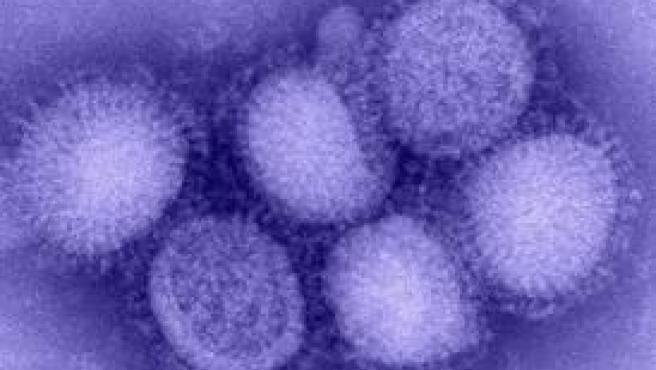 ¿Se convertirá el coronavirus en un virus estacional? Similitudes y diferencias con la gripe prepandemia que conocíamos