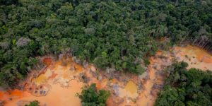 La minería ilegal y el mercurio: Un veneno para la Amazonía venezolana