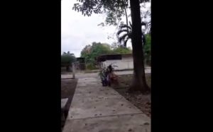 Mujer dio a luz en el banco de una plaza en Portuguesa (VIDEO)