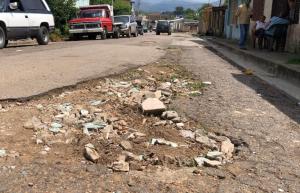 Comunidad en Guárico tiene más de 20 años con calles minadas de huecos (FOTOS)