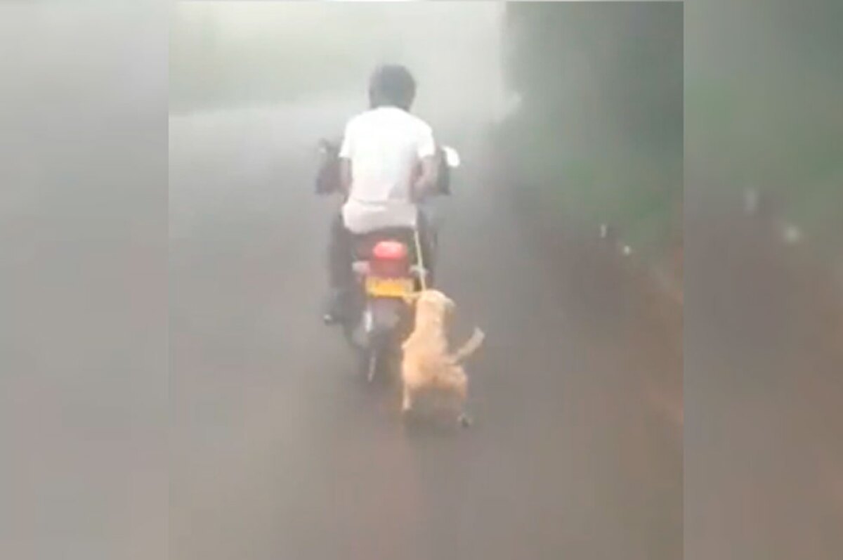 ¡INDIGNANTE! Amarraron a un perrito en una moto y lo arrastraron por una carretera en Colombia (VIDEO)