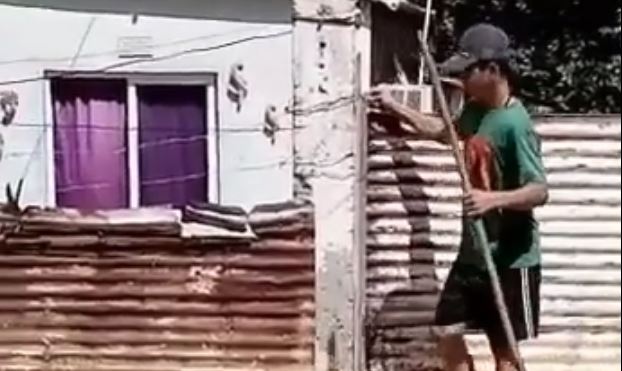 Buscan a desalmado que mató a palos a un perrito en Maracaibo
