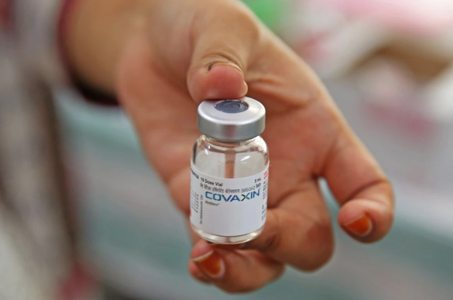 Eficacia, inmunidad y seguridad: Detalles de Covaxin, la nueva vacuna aprobada por la OMS