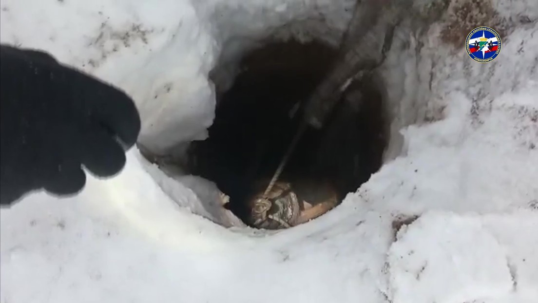 Conmovedor VIDEO: perro se agarró con los dientes a una cuerda para salir de un profundo agujero