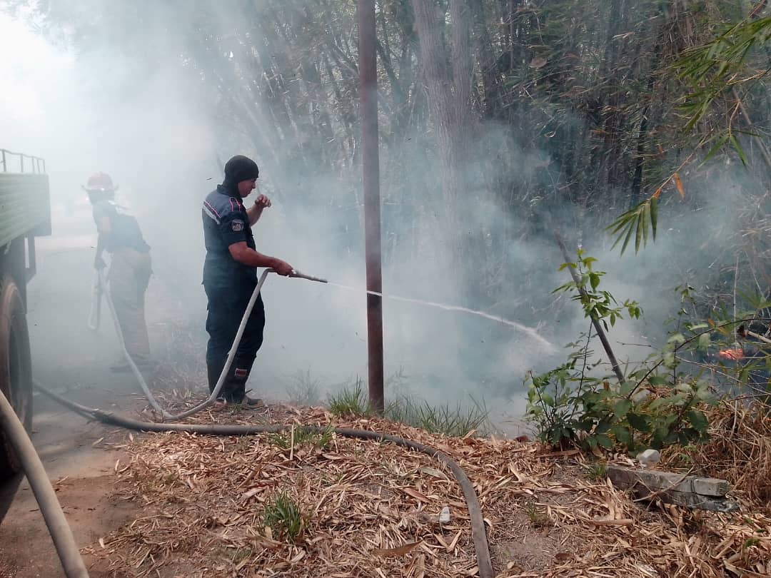 Habitantes de Bejuma piden a las autoridades sancionar a quienes queman maleza y basura