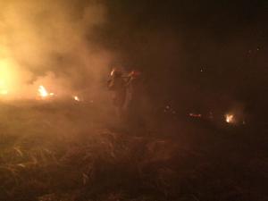 FOTOS IMPACTANTES: Se registró incendio en la facultad de Farmacia y Bioanalisis de la ULA