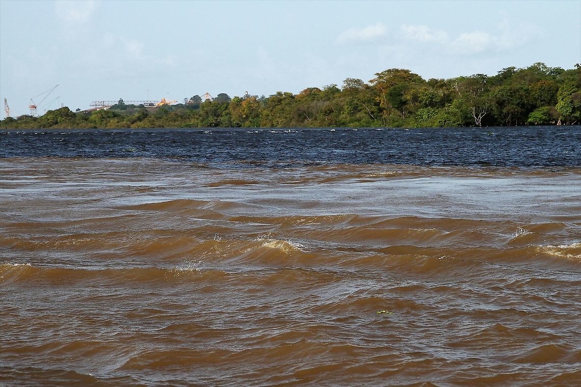 Hallaron ocho cadáveres de indígenas waraos en la desembocadura del río Orinoco