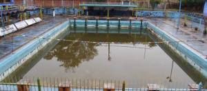 Mal estado de las piscinas tiene en jaque los deportes acuáticos en Táchira