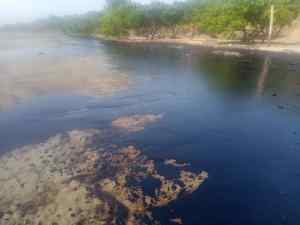 Tragedia ambiental: más de 30 kilómetros de manchas negras se expandieron entre Maracaibo y Mara (Imágenes)