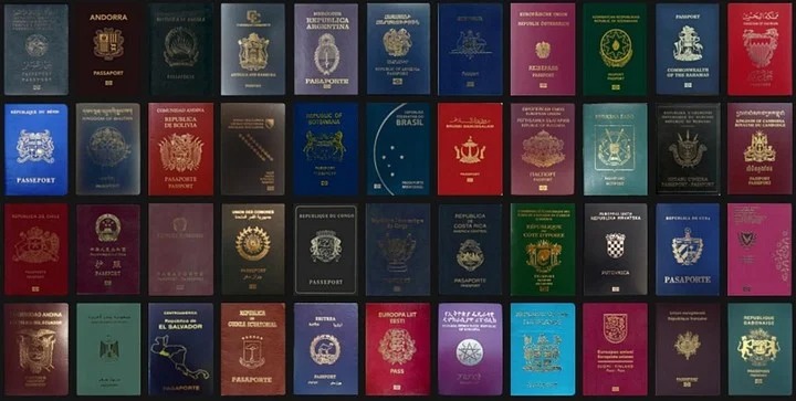 El pasaporte más poderoso del mundo en 2022 ya tiene nombre… ¿logras ubicar al venezolano?