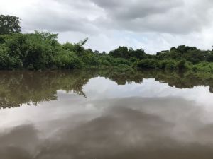 Alerta máxima en Bolívar: Alcalde de El Callao sin recursos para atender emergencia por crecida del río Yuruari