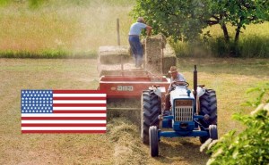 Programa para trabajadores agrícolas: Los estados de EEUU que contratan a más extranjeros
