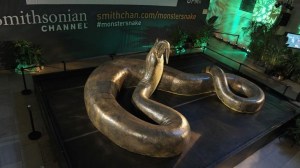 Titanoboa, la serpiente más grande que ha existido